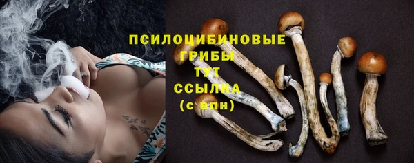 прущая мука Балахна