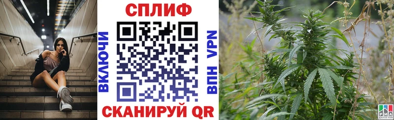 Купить закладки  Малая Вишера  Каннабис AK-47 